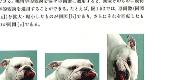 画像の再標本化の例 画像の再標本化の例